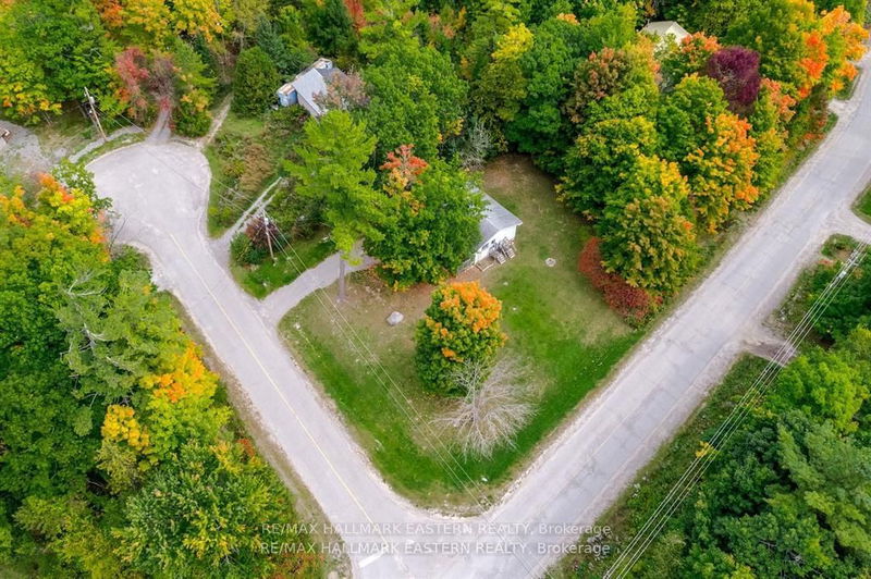 6 Shigwok Cres  Curve Lake First Nation 35, K0L 1P0 | Image 9