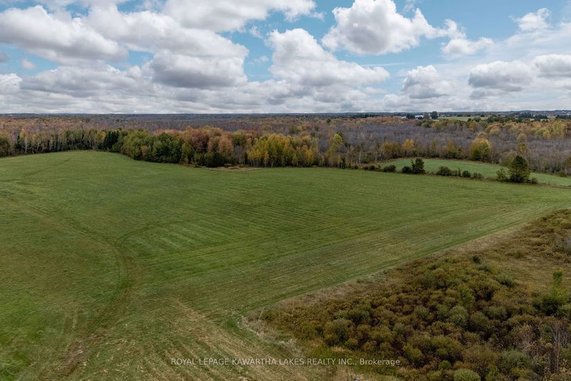 373 Cheese Factory Rd  Kawartha Lakes, K9V 4R3 | Image 4