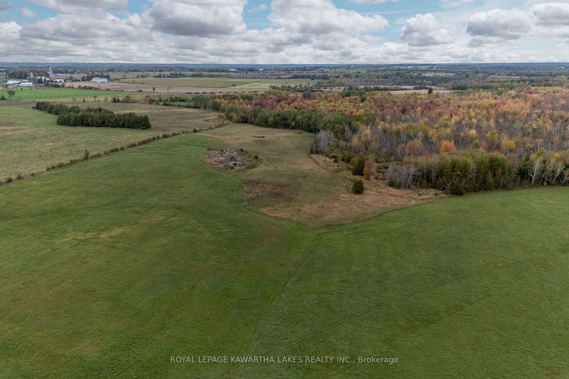 373 Cheese Factory Rd  Kawartha Lakes, K9V 4R3 | Image 5