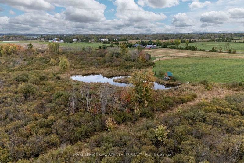 373 Cheese Factory Rd  Kawartha Lakes, K9V 4R3 | Image 8