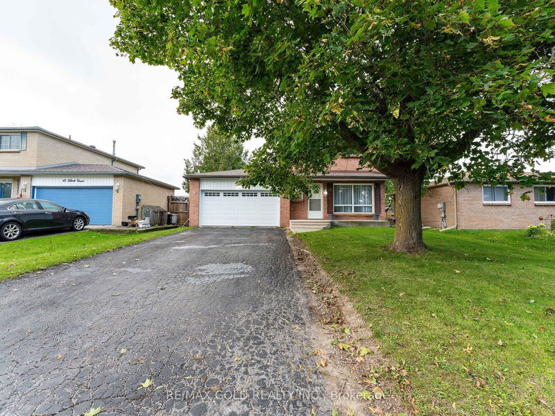 48 Birch Crt  Kawartha Lakes, K9V 5L7 | Image 1