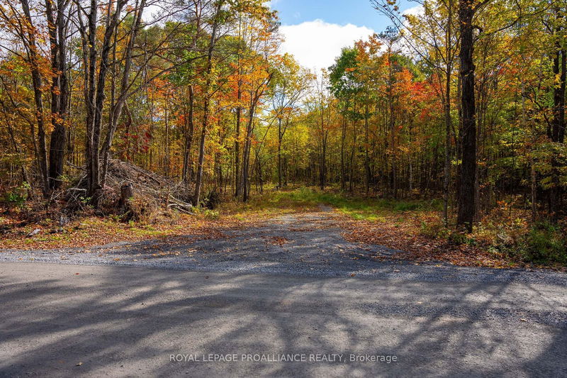 LT12&13 Devil Lake Rd  South Frontenac, K0G 1X0 | Image 1