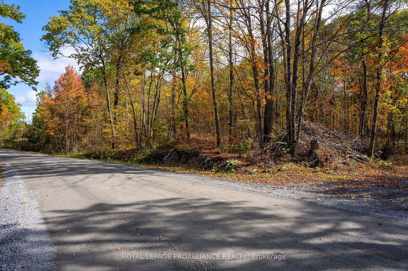 LT12&13 Devil Lake Rd  South Frontenac, K0G 1X0 | Image 10