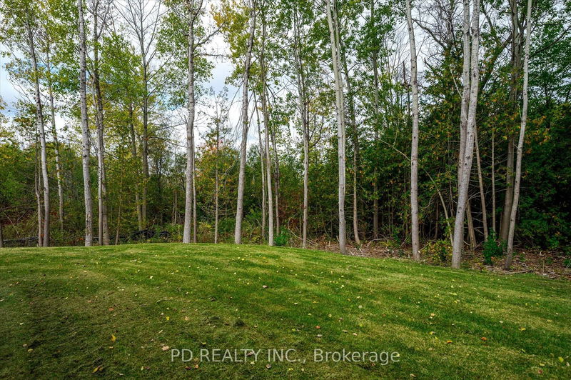 644 Skyline Rd  Smith-Ennismore-Lakefield, K0L 1T0 | Image 31