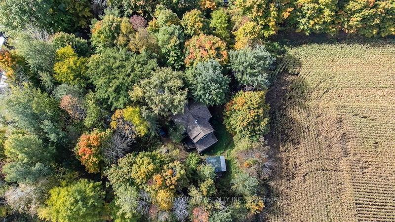 498 Farms Rd  Kawartha Lakes, K0M 2T0 | Image 2