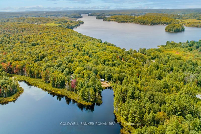 1187 Windermere Rte  Muskoka Lakes, P0B 1M0 | Image 1