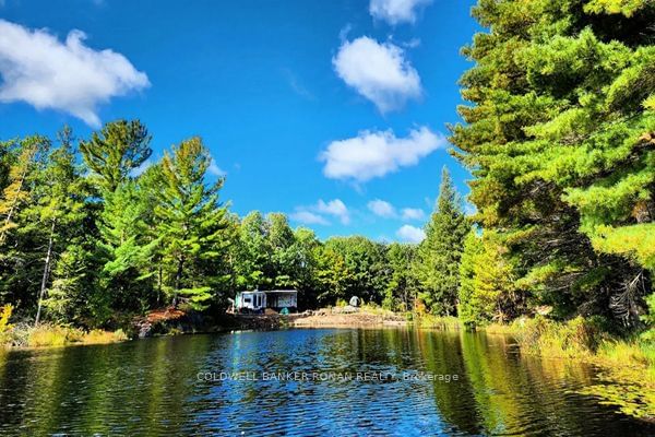 1187 Windermere Rte  Muskoka Lakes, P0B 1M0 | Image 15