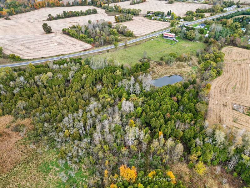 5244 Highway 37   Tweed, K0K 3J0 | Image 33