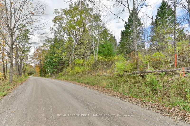 0 Otter Creek Rd  Tweed, K0K 3J0 | Image 2