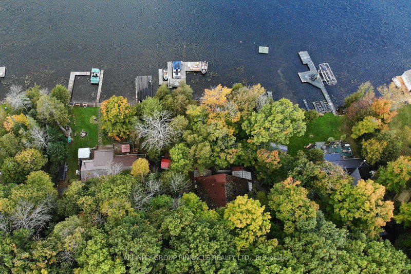 38 Dewey's Island Rd  Kawartha Lakes, K0M 1N0 | Image 37