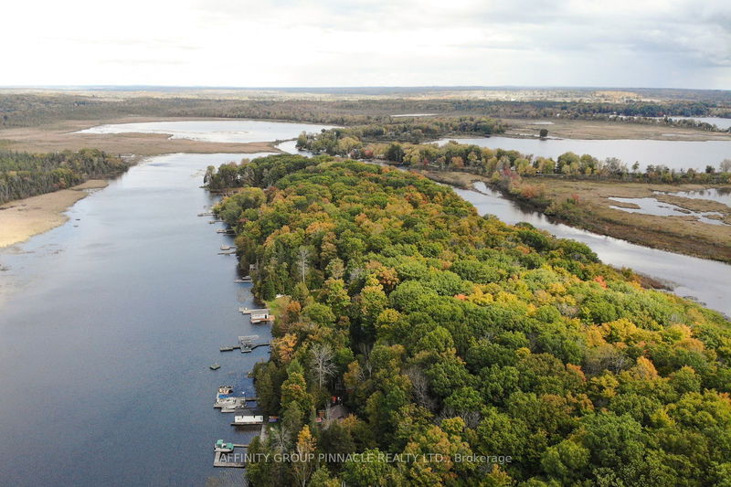 38 Dewey's Island Rd  Kawartha Lakes, K0M 1N0 | Image 38