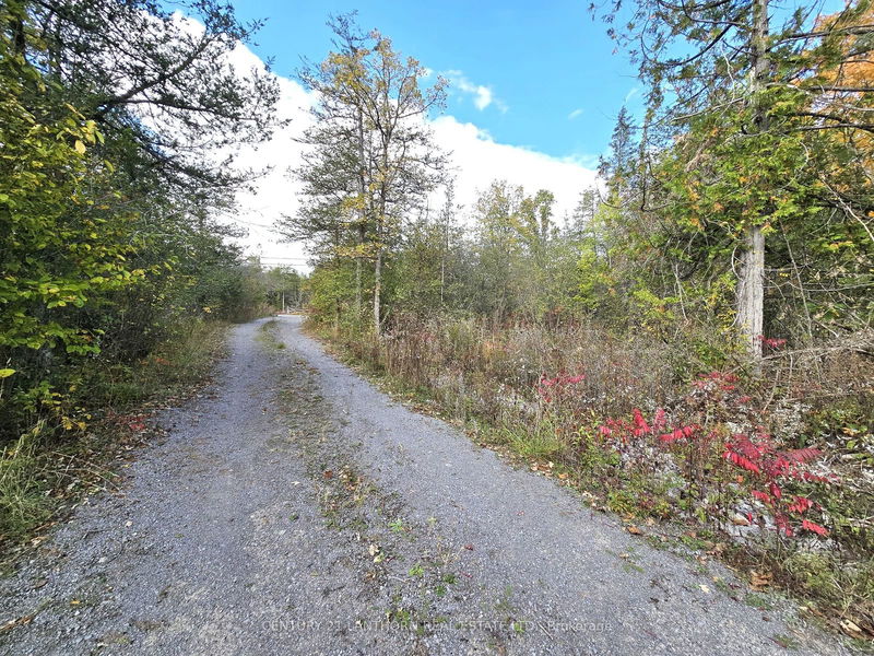 0 Melrose Rd  Tyendinaga, K0K 2N0 | Image 1