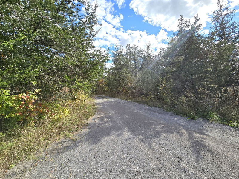 0 Melrose Rd  Tyendinaga, K0K 2N0 | Image 14