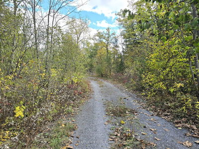  Melrose Rd, Tyendinaga -  image-0-2