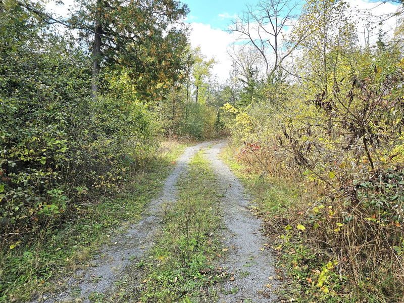 0 Melrose Rd  Tyendinaga, K0K 2N0 | Image 4