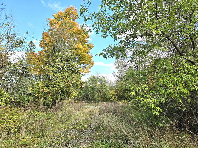 0 Melrose Rd  Tyendinaga, K0K 2N0 | Image 8