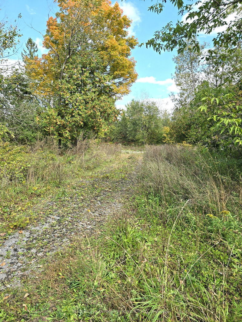 0 Melrose Rd  Tyendinaga, K0K 2N0 | Image 9