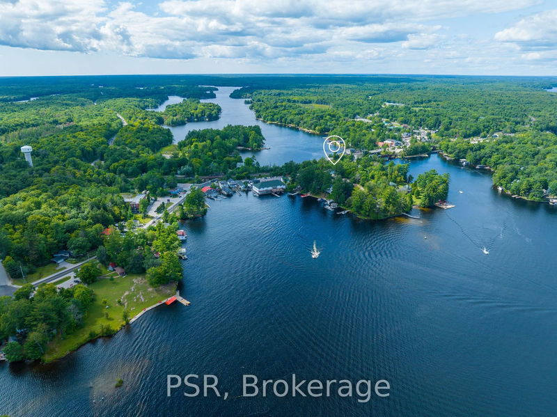 1020 Bala Falls Rd  Muskoka Lakes, P0C 1A0 | Image 2