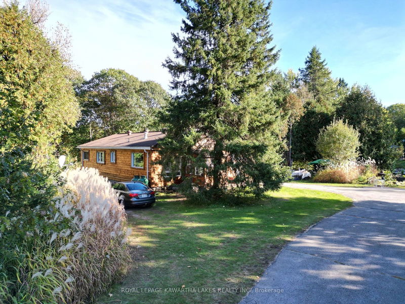 8056 Highway 35  N Kawartha Lakes, K0M 2L0 | Image 3