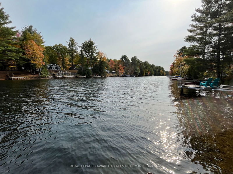 8056 Highway 35  N Kawartha Lakes, K0M 2L0 | Image 33