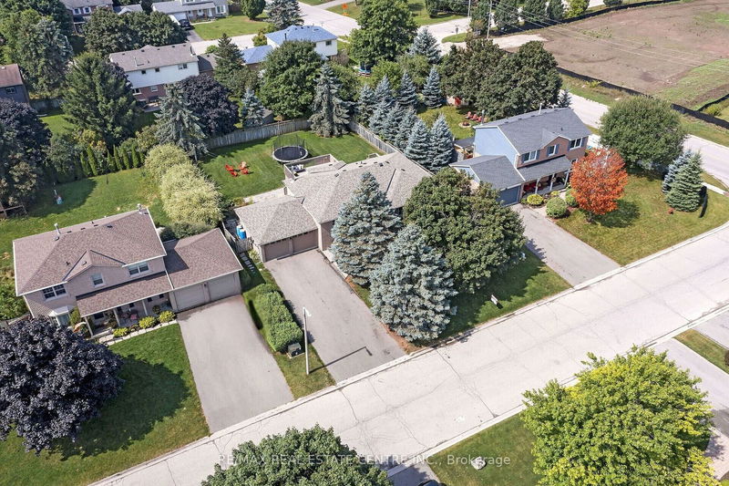 38 Erinlea Cres  Erin, N0B 1T0 | Image 6