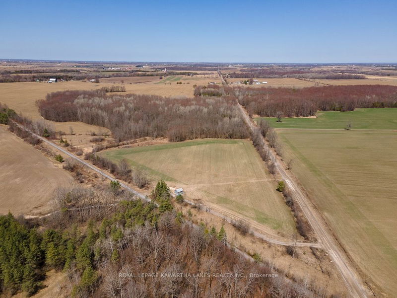 0 Lilac Rd  Kawartha Lakes, K0L 2X0 | Image 2