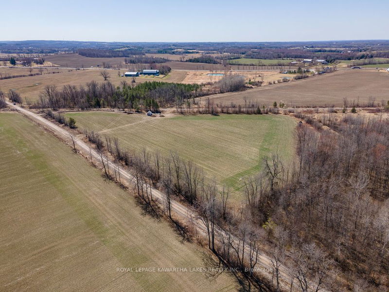 0 Lilac Rd  Kawartha Lakes, K0L 2X0 | Image 3