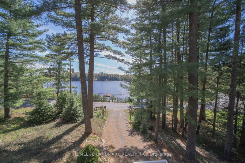 1245 Mortimers Point Rd  Muskoka Lakes, P0B 1J0 | Image 6