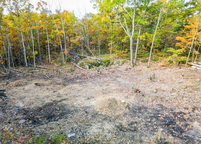  LOT A - 87 Corrievale Rd  Georgian Bay, L0K 1S0 | Image 6