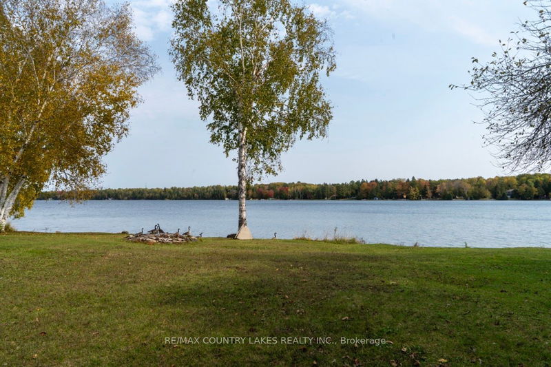 4 Greenwood Cres  Kawartha Lakes, K0M 2T0 | Image 24