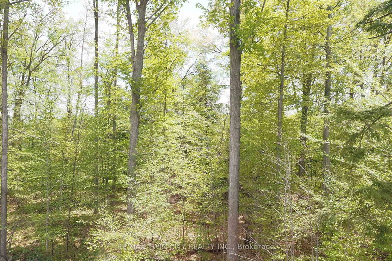 220 JEFFREY Pl, Kitchener, N2C 2T7 | Image 2