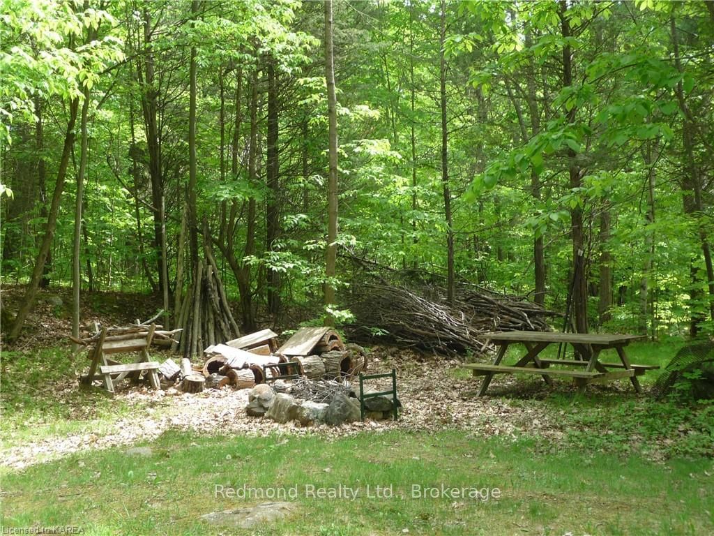 Listing Image 29