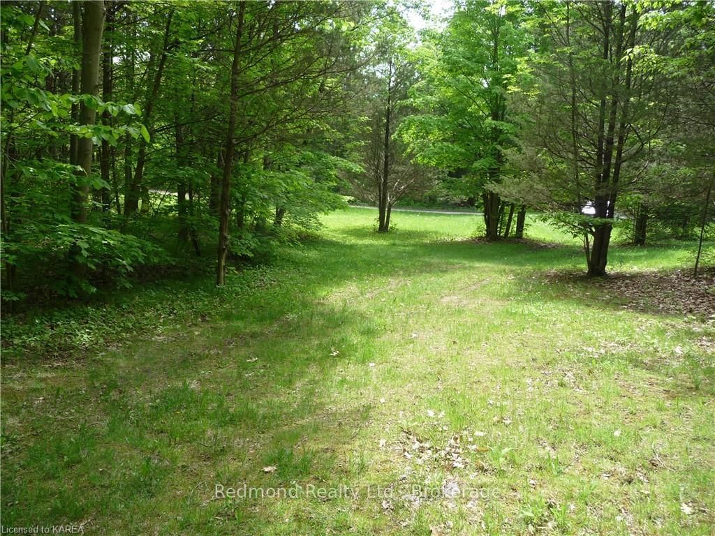 Listing Image 33