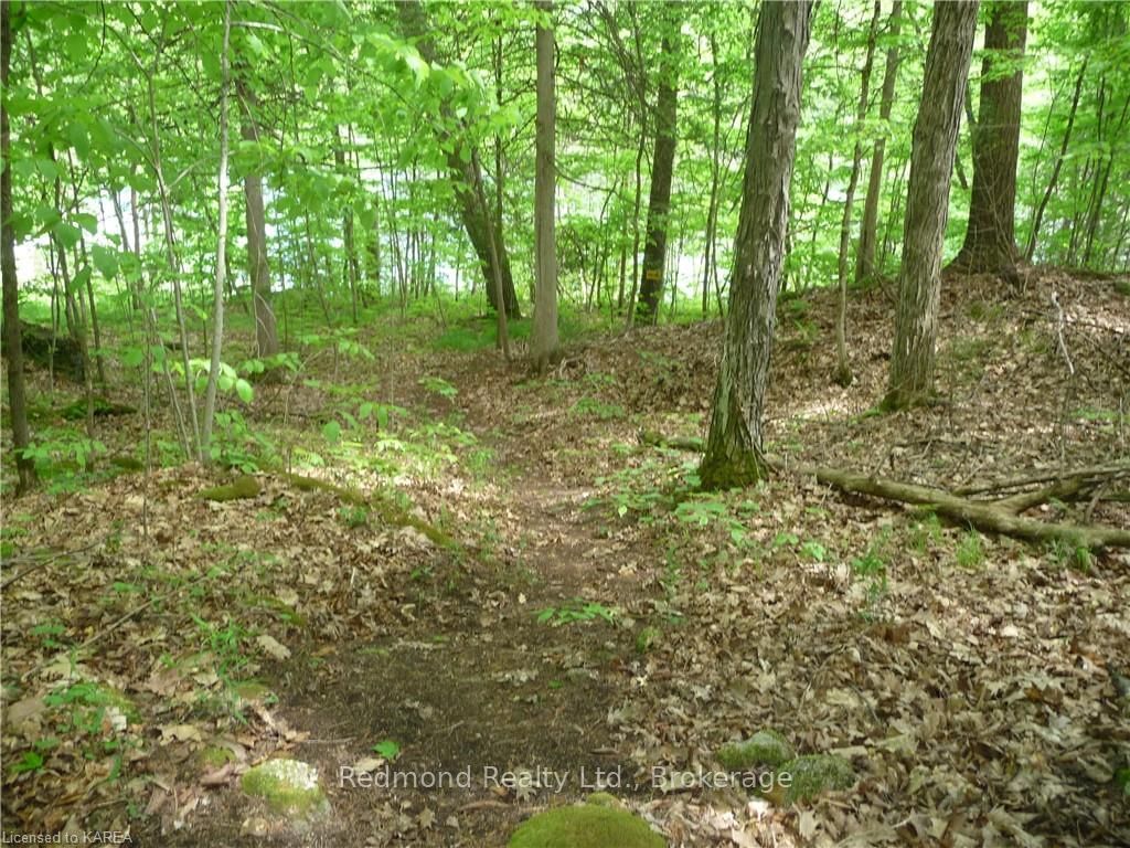 Listing Image 38