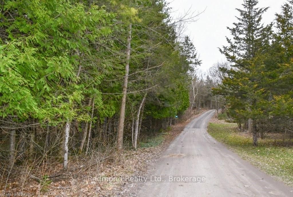 Listing Image 41