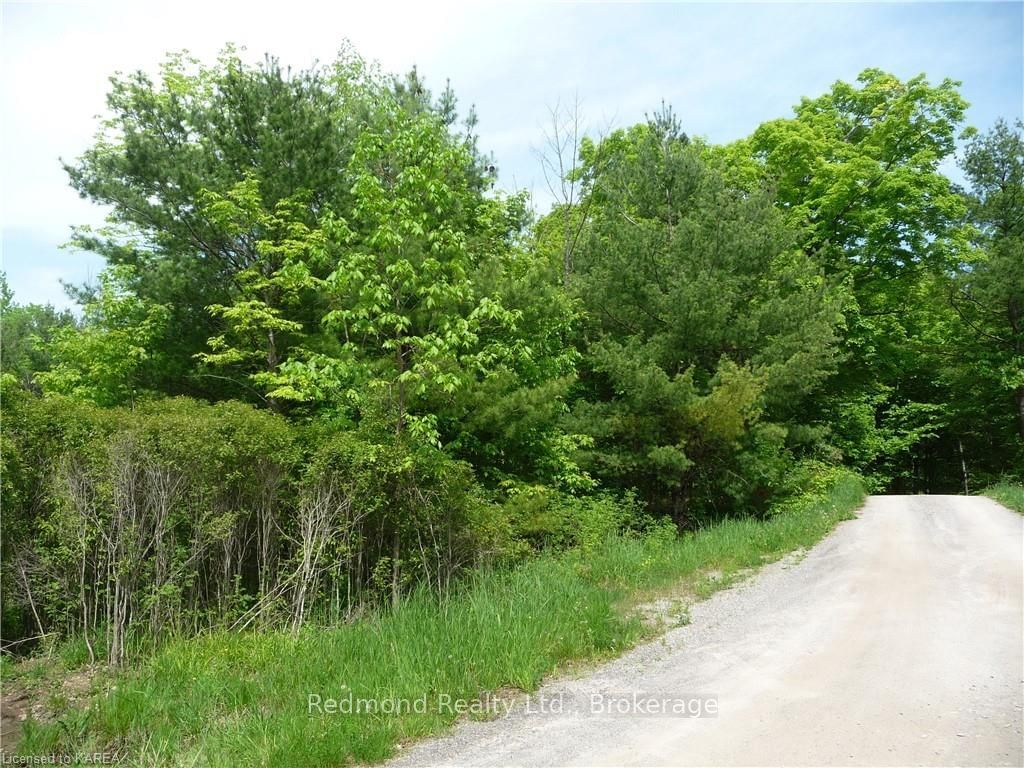 Listing Image 44