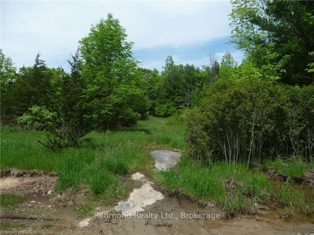 Listing Image 45