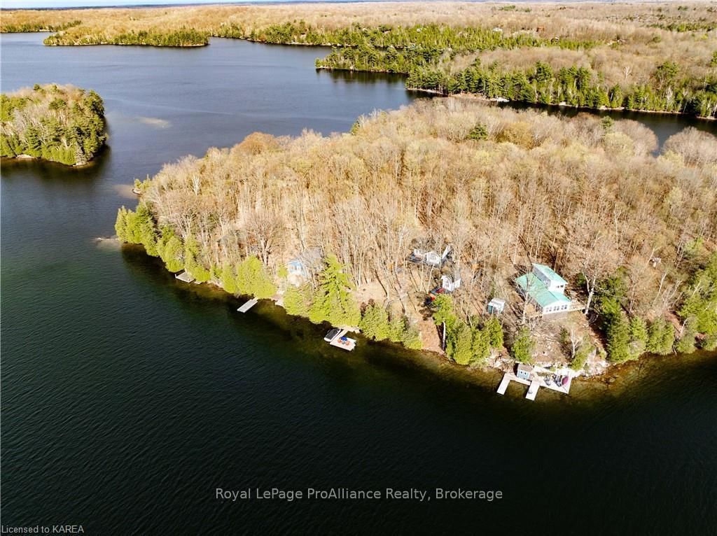 Listing Image 49