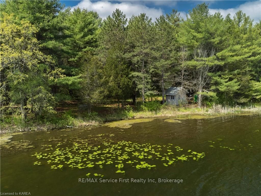 Listing Image 33