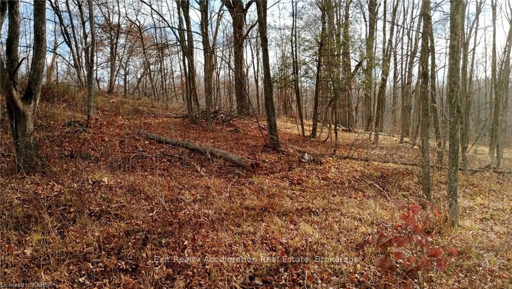 Vacant Land sold at PT LT 7 (PART 2 TRYON Road, Central Frontenac, Frontenac Centre, K0H 2P0 - MLS: X9410720