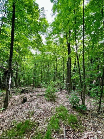 LOT 31 WINTERGREEN Rd, North Frontenac - Frontenac North image-0-1