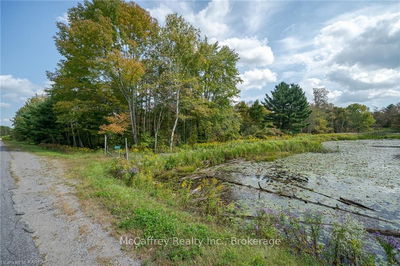 2970 MOUNTAIN Rd, Stone Mills - Stone Mills