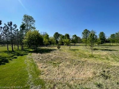 PT LT 14 LITTLE CREEK Rd, Napanee - Greater Napanee image-0-2