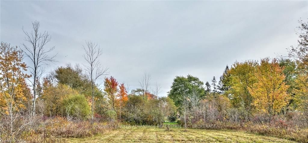 Vacant Land sold at LOCUST ST. Street, Port Colborne, L3K 5V3 - MLS: X9413495