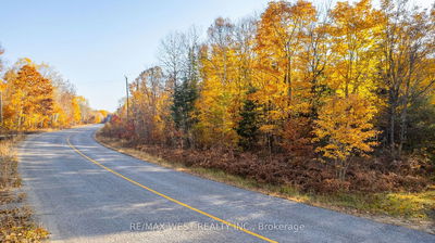  Kawagama Lake Rd, Algonquin Highlands -  image-0-3