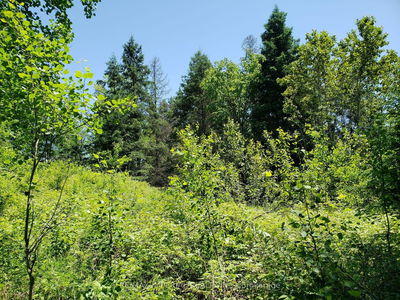 15572 Highway 17, Whitewater Region -  image-0-2