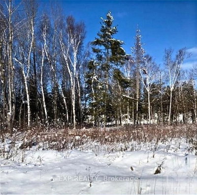 487 SHOREWAY Drive — photo 3