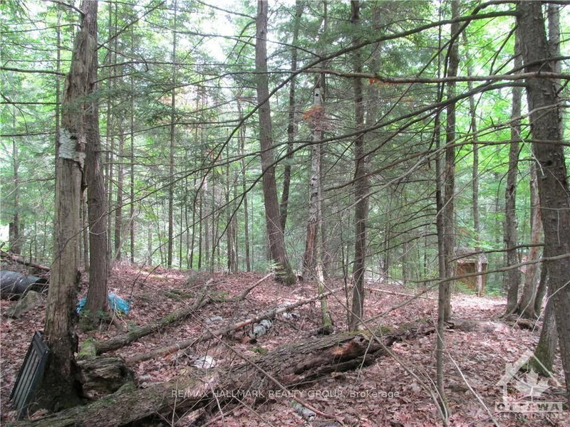 1061 CENTENNIAL LAKE Rd, Calabogie, K0J 1H0 | Image 3