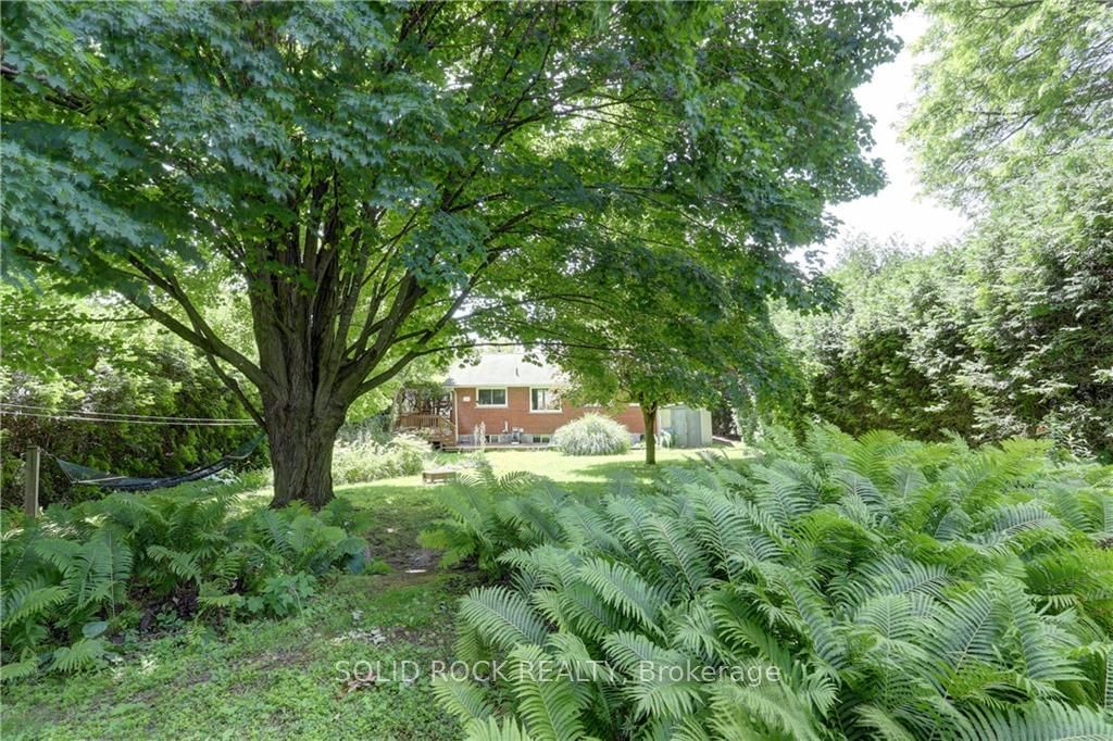 Listing Image 23