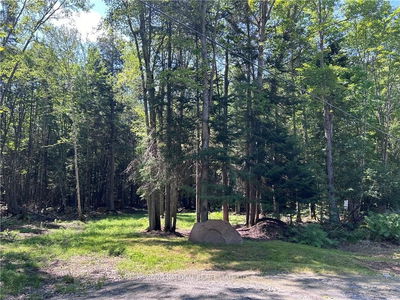 63 ANNIE MAYHEW Rd, Madawaska Valley - 570 - Madawaska Valley image-0-2